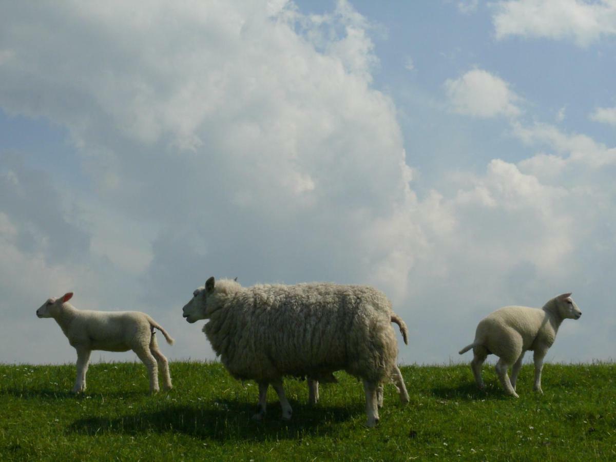 Vila Wad Else Lauwersoog Exteriér fotografie